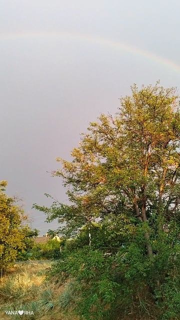 Смотри, какая красота!!!😻🌈✨