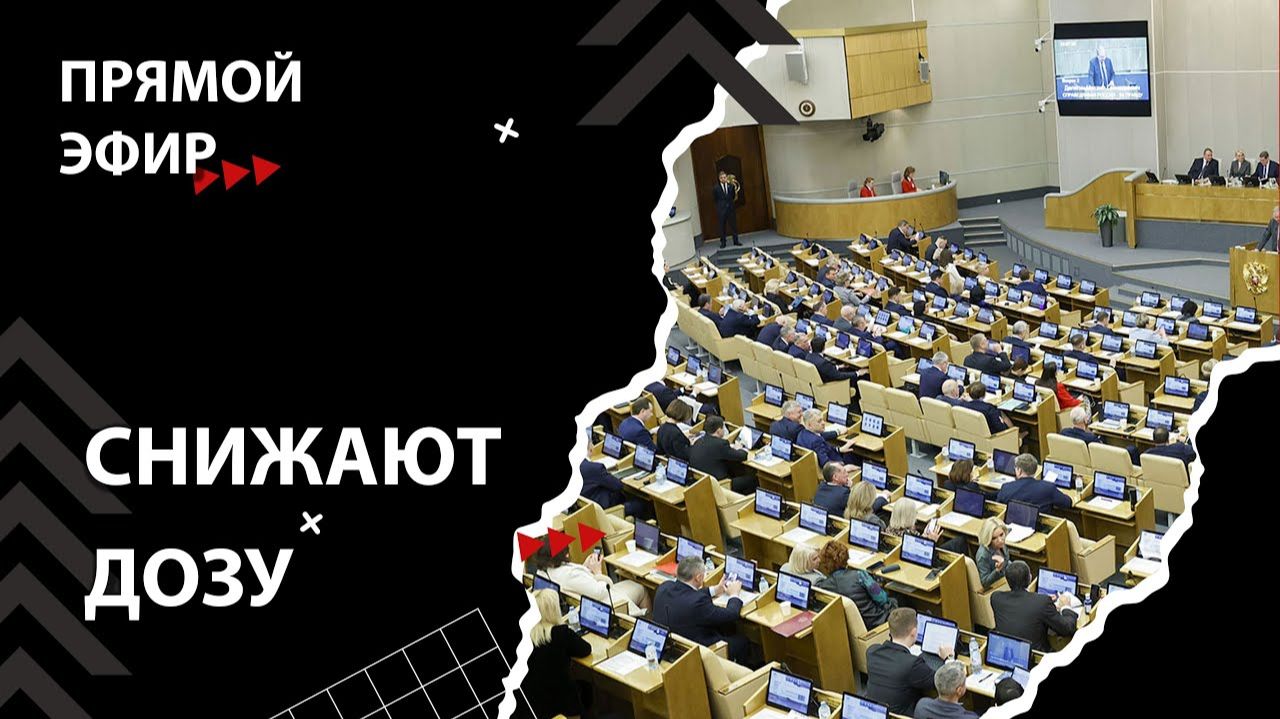 Бизнес-план от Госдумы - лекарства поштучно