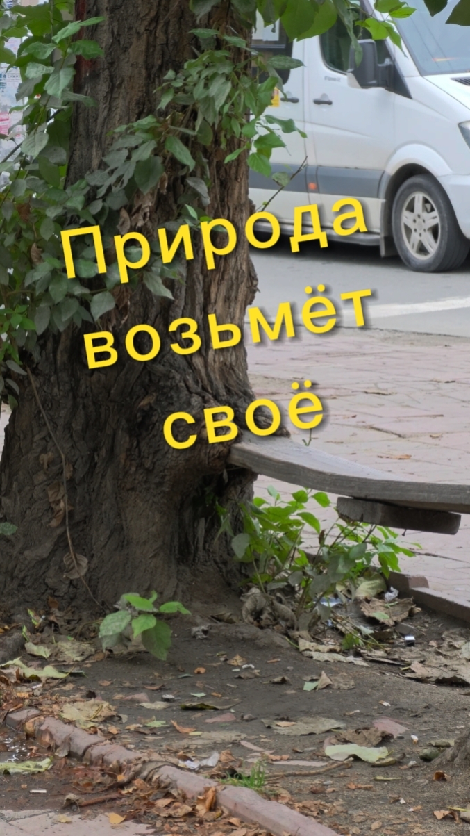 Природа возьмёт своё 🎶