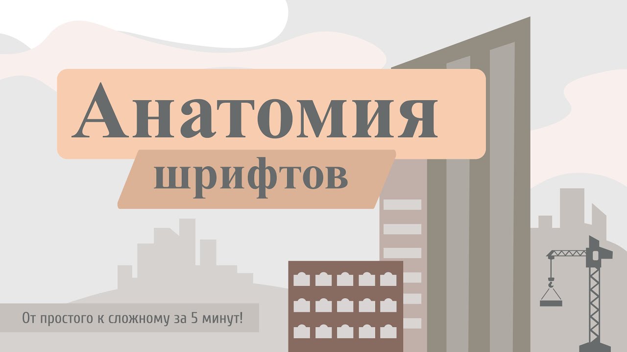 Анатомия шрифтов