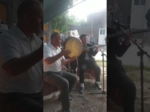 Устозим Алижон Эшонкуловни кушигини куйлашга уриниб курдик хатолари учун устозимдан узур сурайман