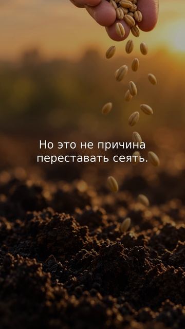 Почему добро не всегда приносит результат сразу? Продолжай сеять 🌱