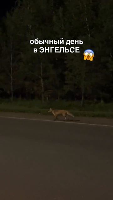 20.09.26