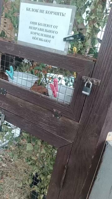 дивеево