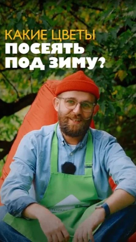 Хотите раннее цветение без рассады? Посейте эти однолетники и многолетники под зиму 🌸