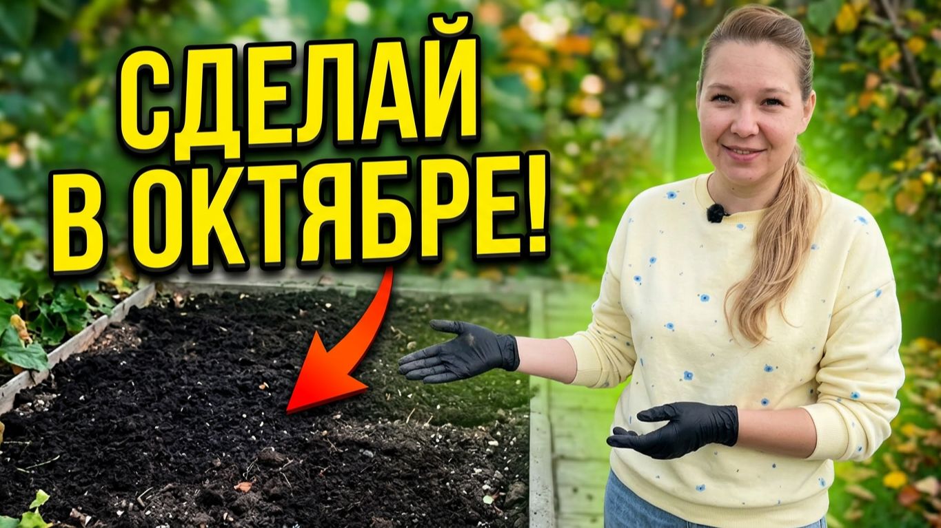 Осеннее оздоровление почвы: как подготовить грядки к новому сезону