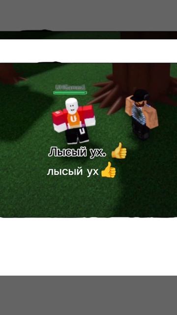 лысый ух👍