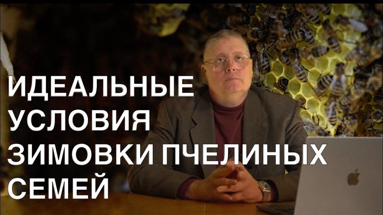 ИДЕАЛЬНЫЕ УСЛОВИЯ ЗИМОВКИ ПЧЕЛИНЫХ СЕМЕЙ