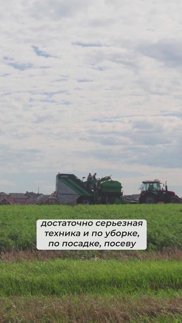 Отец, сын и внук — три поколения картофельного бизнеса #поколения#картофельного#бизнеса