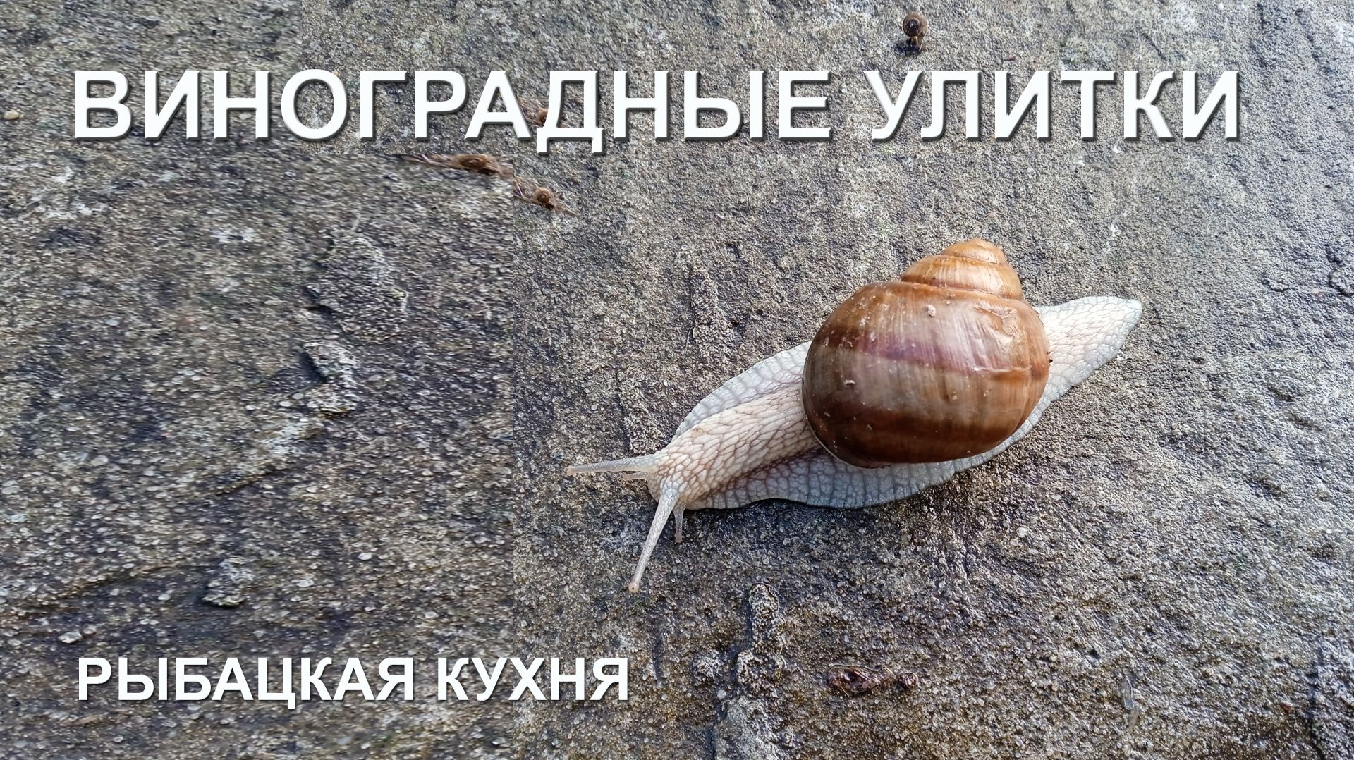 РЫБАЦКАЯ КУХНЯ