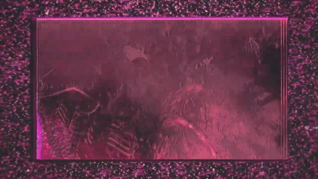 CHROMA SEA - Acceptance