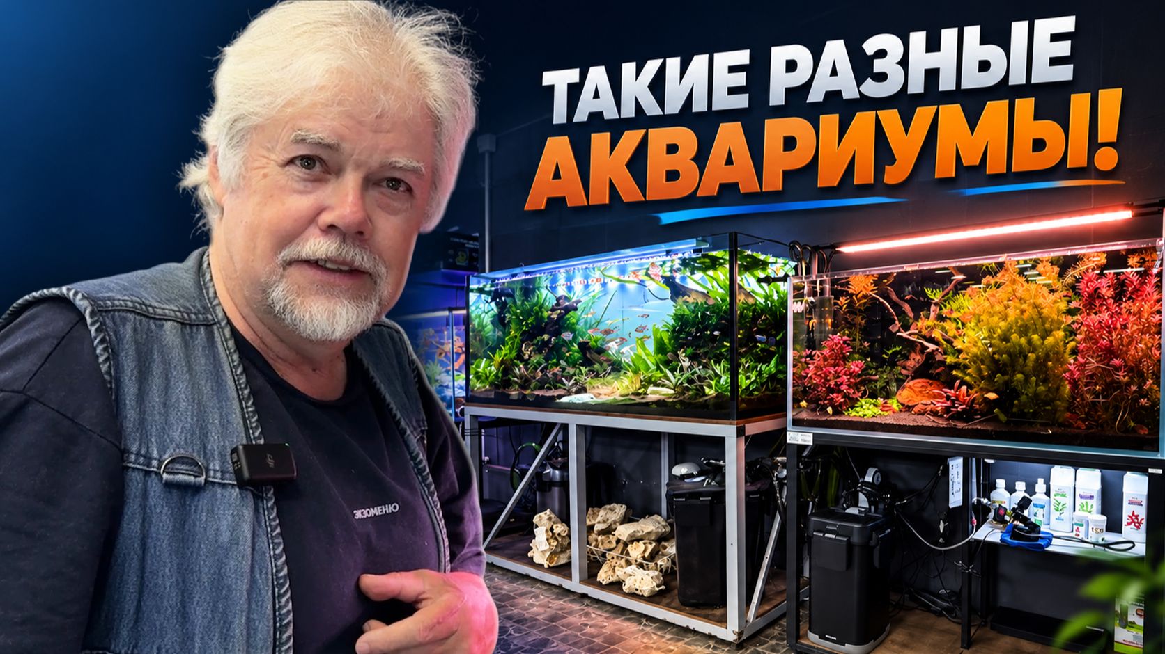 Такие разные аквариумы в удивительном зоомагазине | Аквариумные истории из ЭКЗОМЕНЮ №191