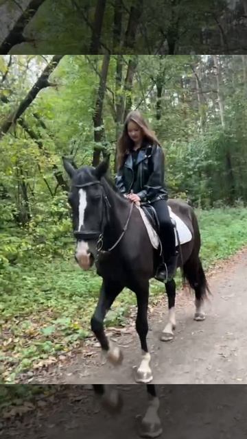 Поездка на лошади