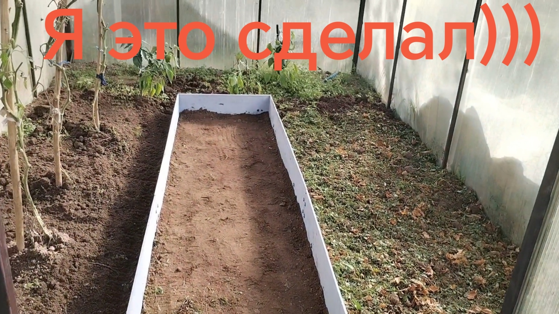Я это сделал🤩 Ограждение в теплице готово. 20-09-2026