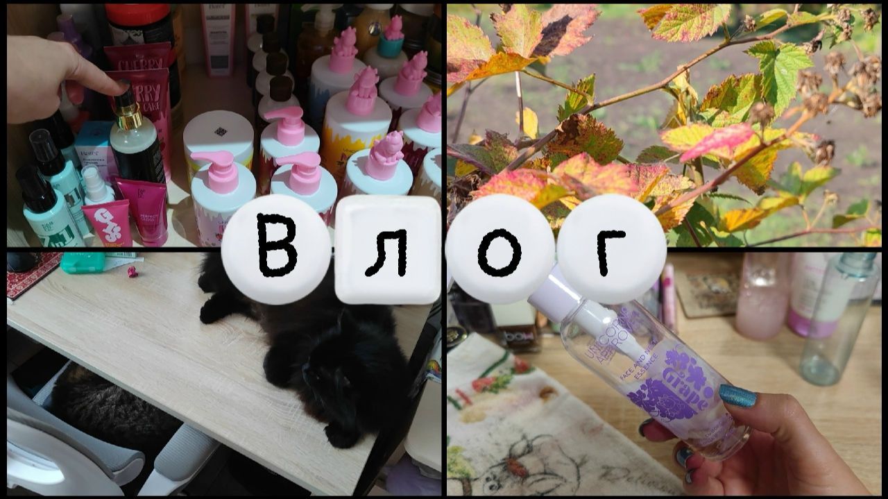 ВЛОГи