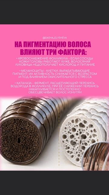 Когда седина - это не просто возраст…