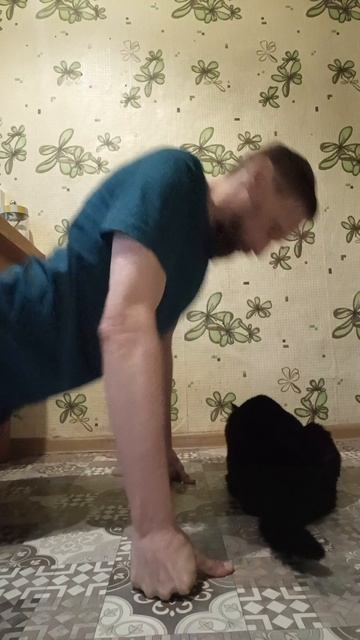 Настройка на продуктивный день с Чернушкой #rochevpress #отжимания #котики