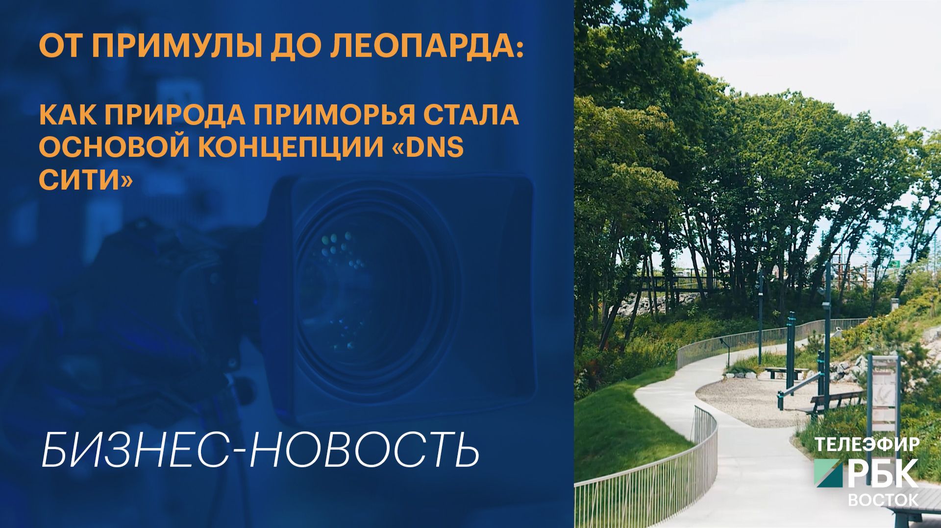 От примулы до леопарда: как природа Приморья стала основой концепции «DNS Сити»