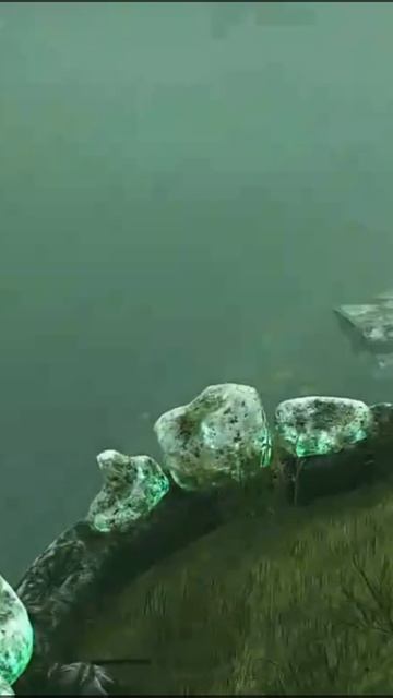колос