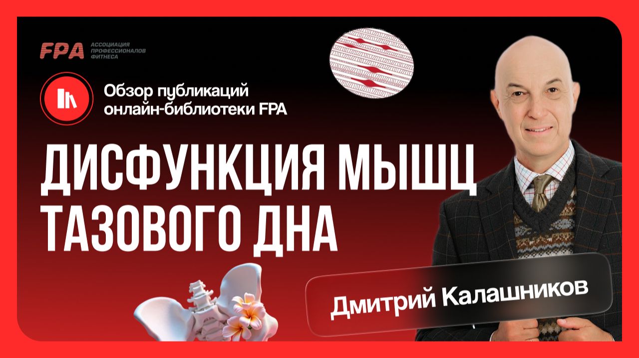 Дмитрий Калашников