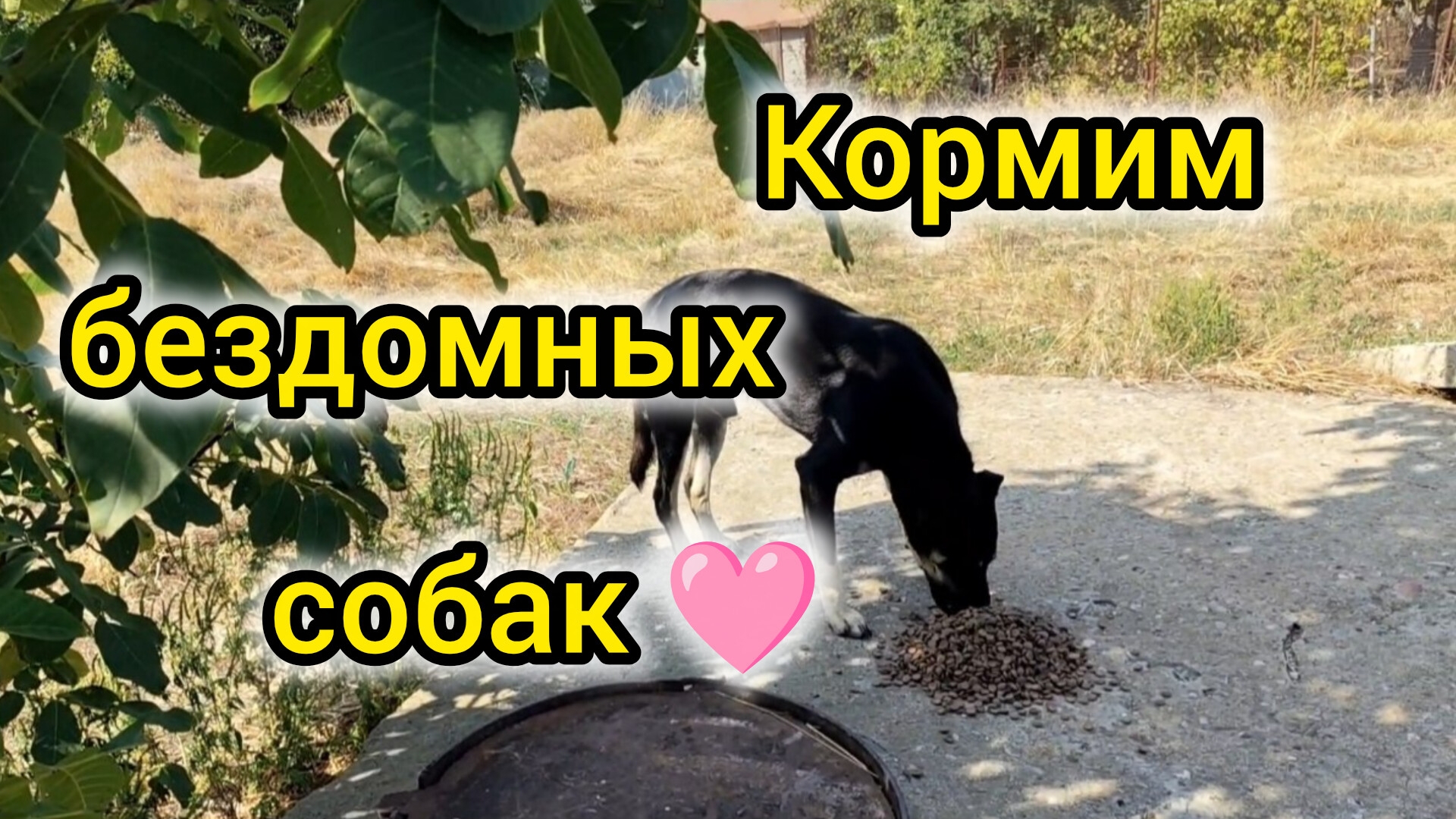 Из за гнилой ВОДЫ забился КРАН!/Думали ДЖЕКА больше нет🥹/Что КУПИЛИ поесть/Едим ГРЕЦКИЕ орехи