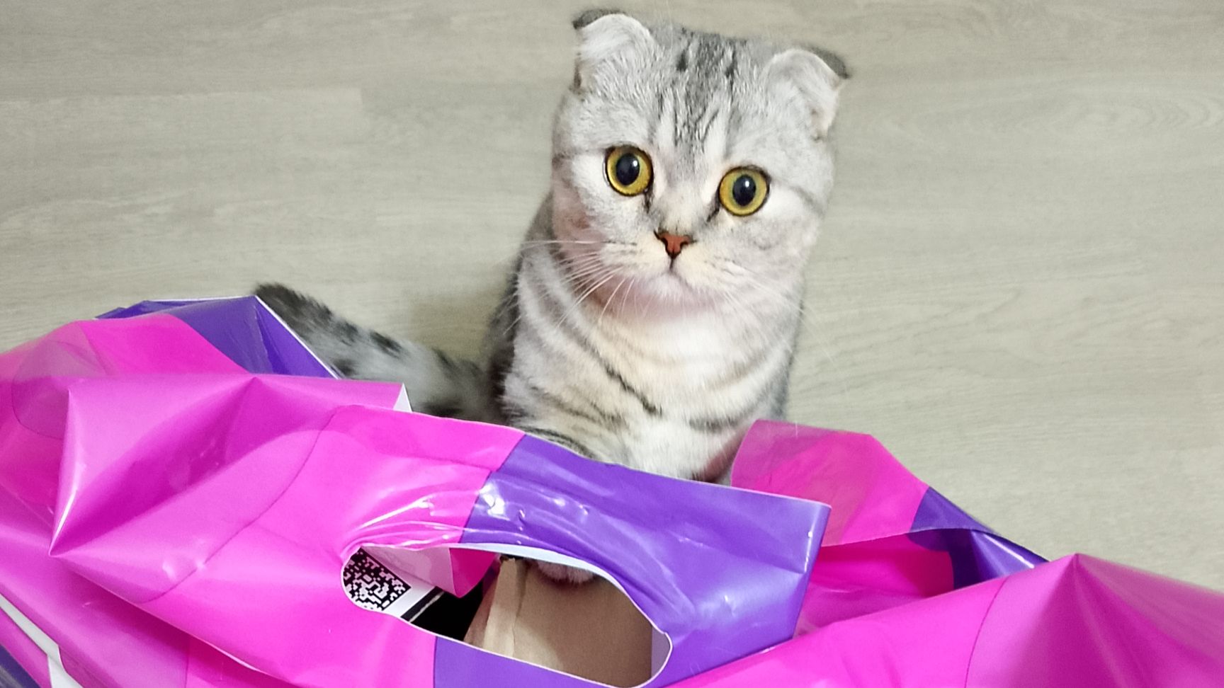 РАСПАКОВКА ПОКУПОК 🛍️