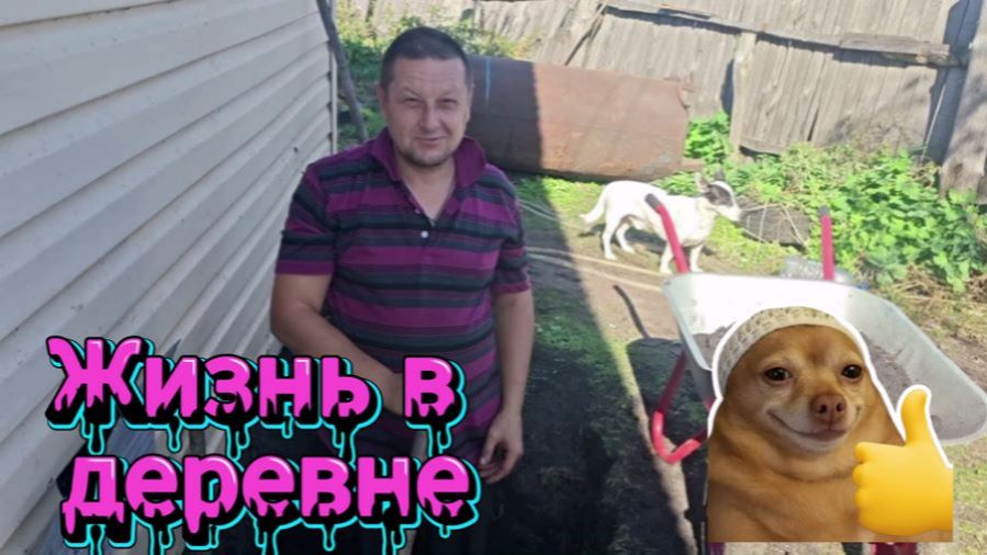 Жизнь в деревне .Планы поменялись.Права не получила ,интернет подвёл.Летающий пакет.