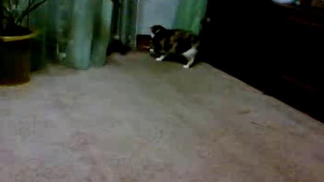 Маруся тоже любила в юности конфеты 🍬.
