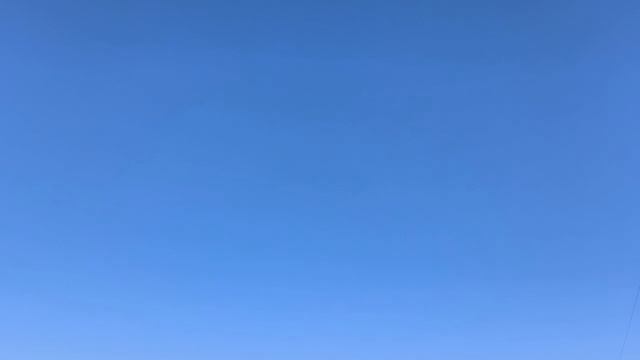 Сажаю розы! Делаю чай!