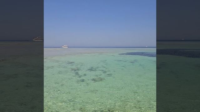 красное море