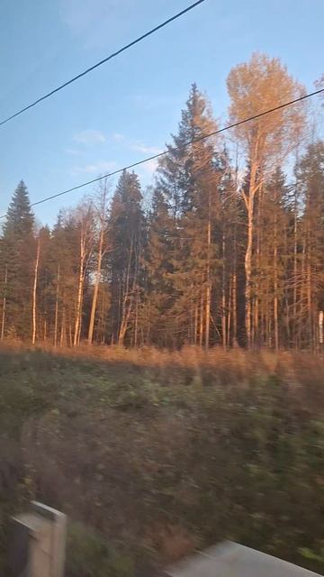 Дороги дороги снова дурманят.