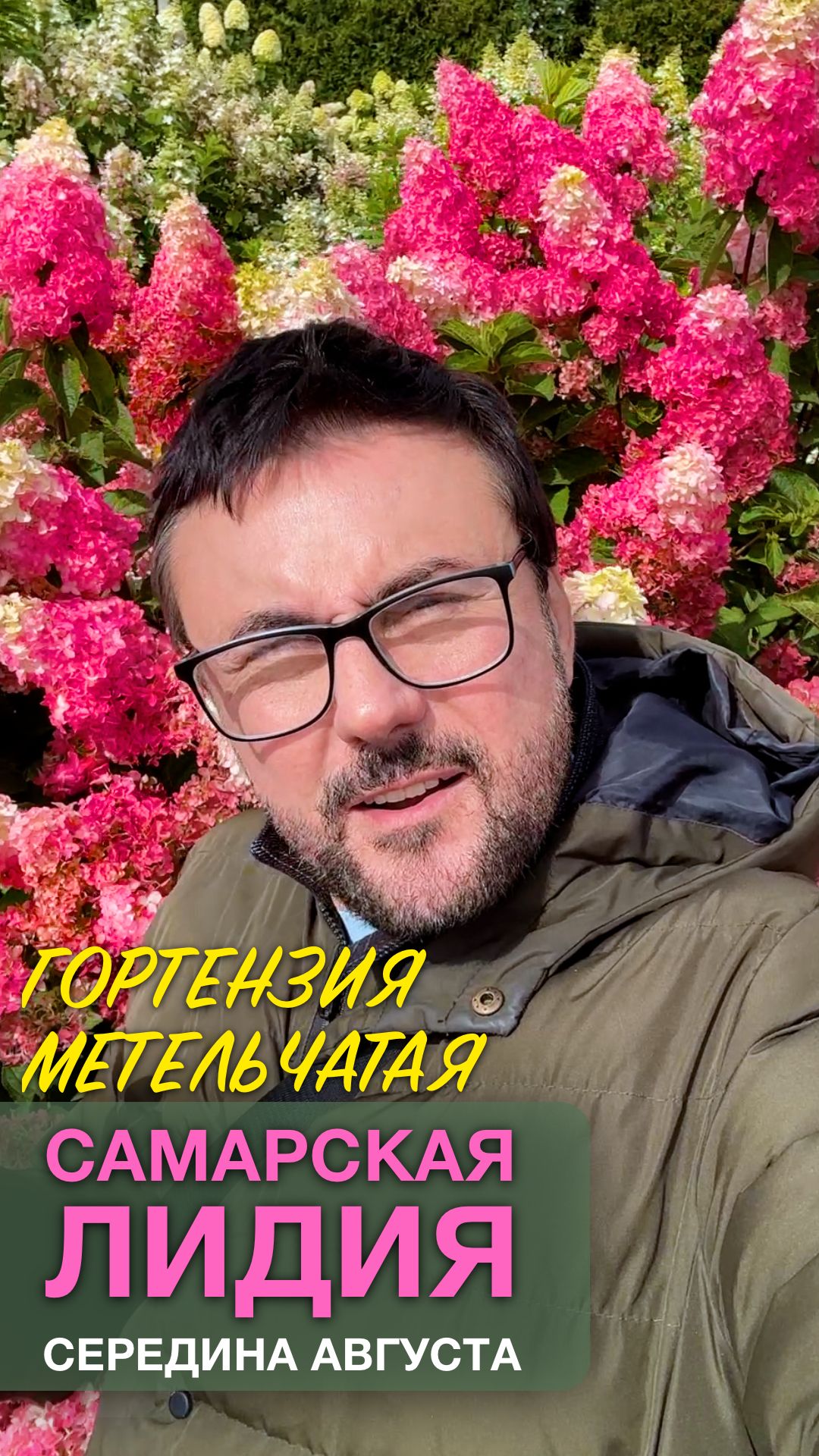 Море гортензий и Самарская Лидия