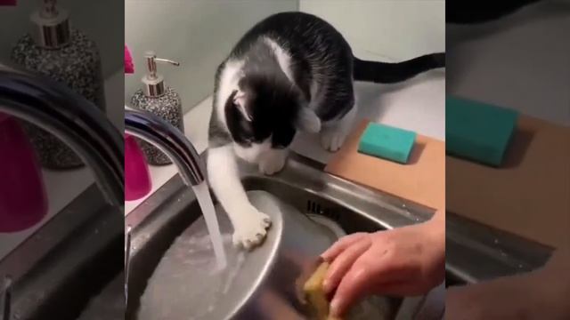 приколы