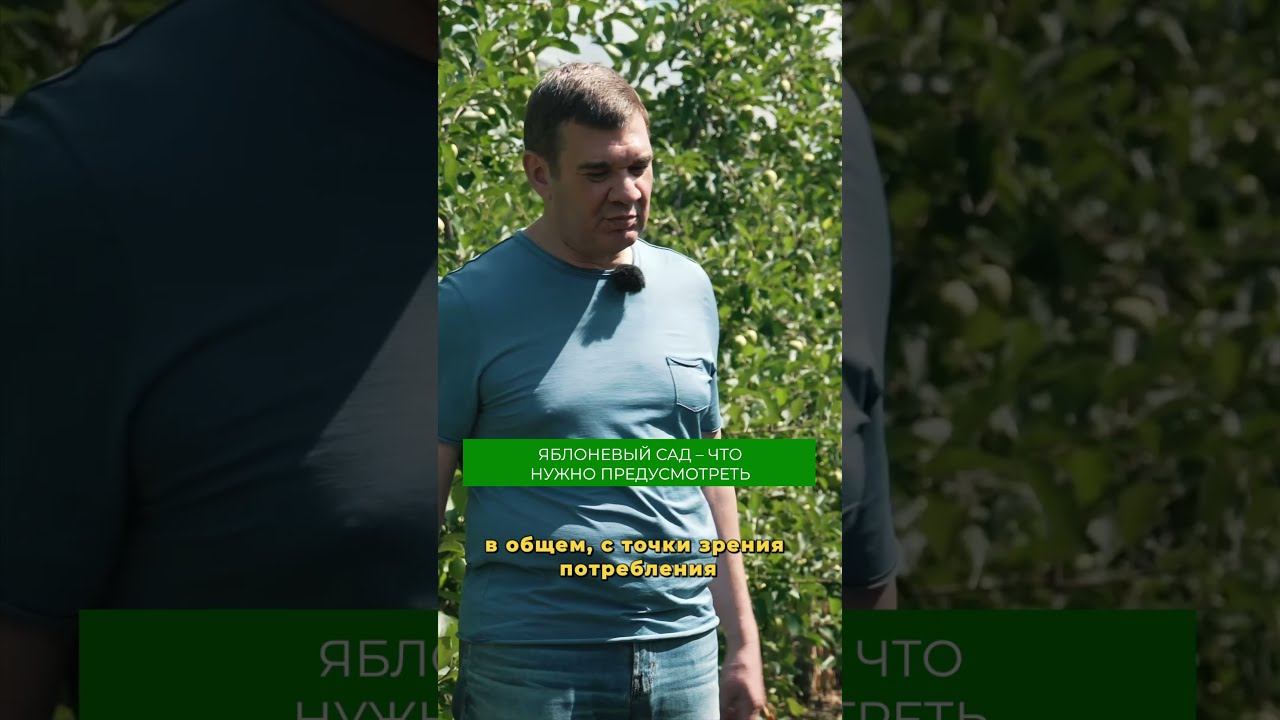 Прибыльный бизнес на яблоках: все тонкости в полном видео на канале СВОЯ ЕДА! #яблоки #сад #бизнес