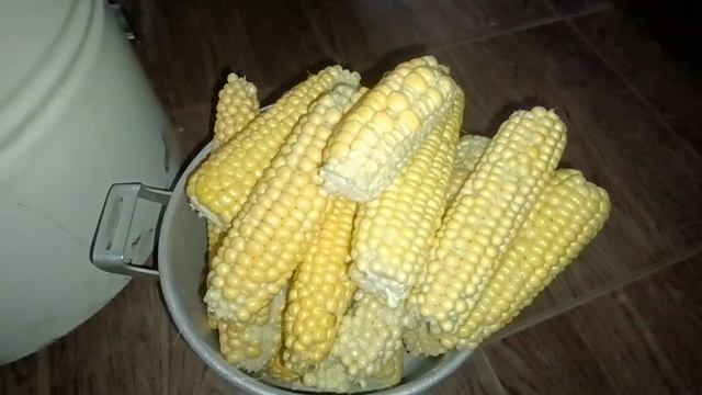 Кукуруза в Межстоличьи