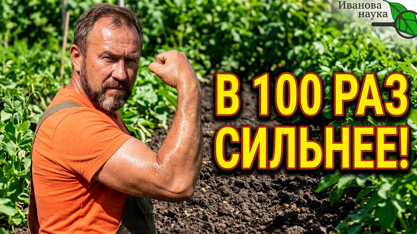 Подкормки и удобрения