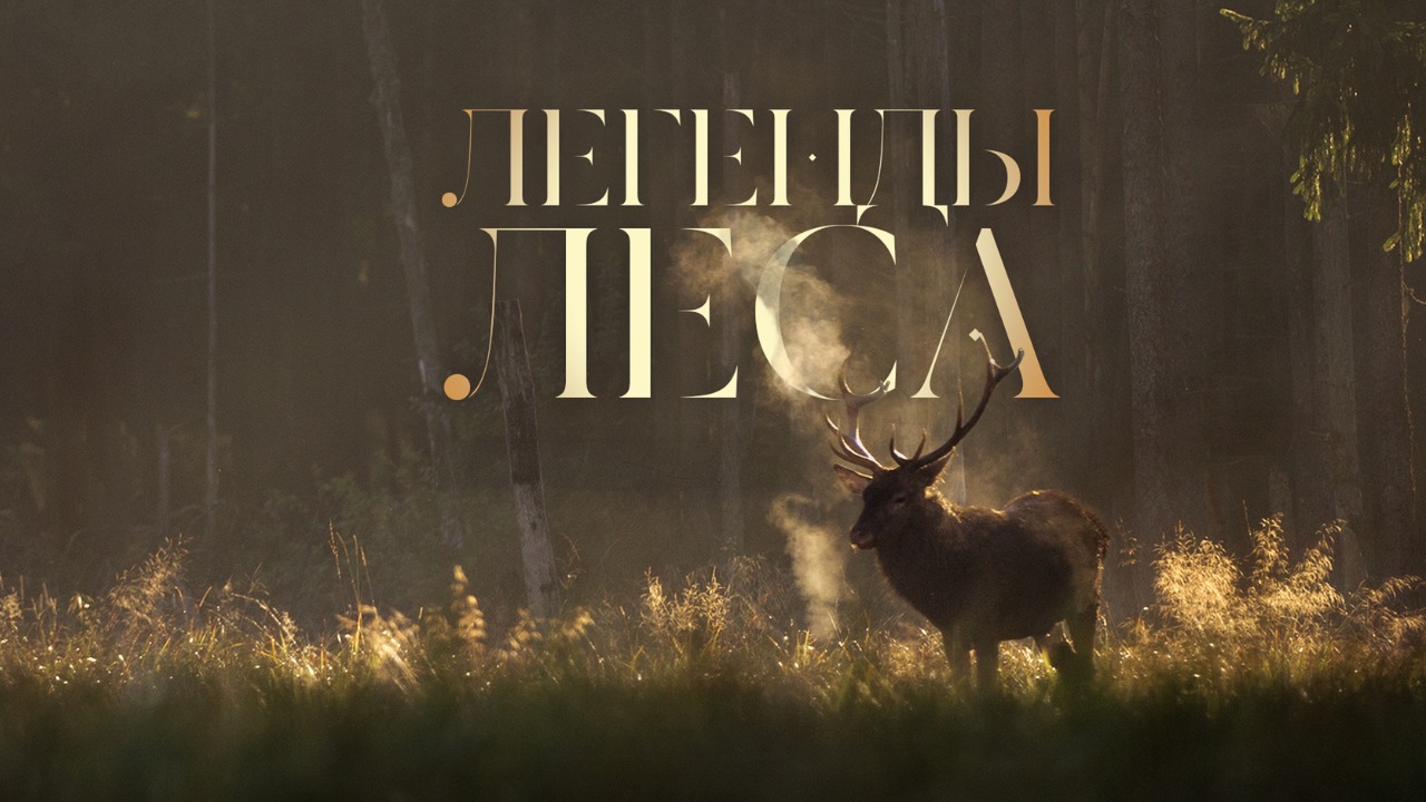 2025 год