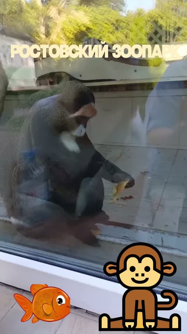 Ростовский зоопарк