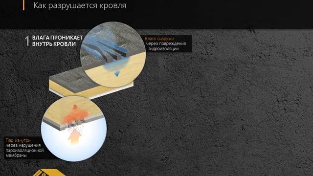 Как разрушается плоская кровля при протечках