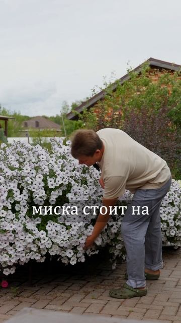 тайдал сильвер в 90 литрах