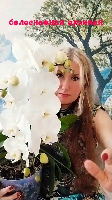 #music #комнатныерастения #орхидеи #plants  #falenopsis #orchid #цветущиеорхидеи