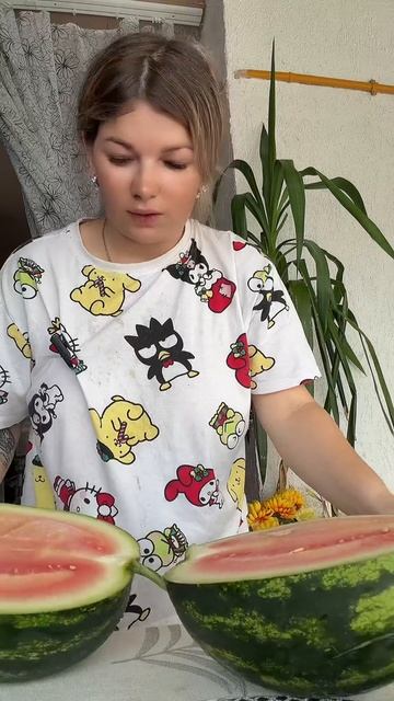 Мои арбузы #уралочка #арбуз #огород #урожай