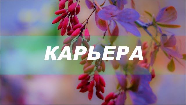 Успешная карьера  Карьерный рост. Ремейк. Скрытые аффирмации. Саблиминал.