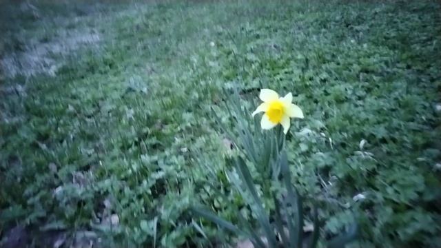 Жизнь в деревне