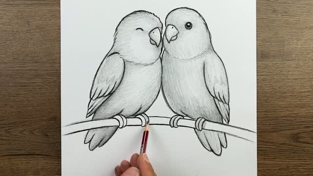 Как нарисовать птицу — Простой пошаговый урок рисования двух птиц — Для начинающих