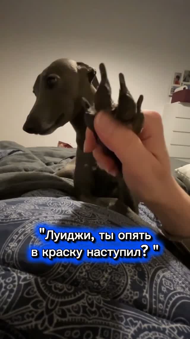 ЛЕВРЕТКА И РЕМОНТ