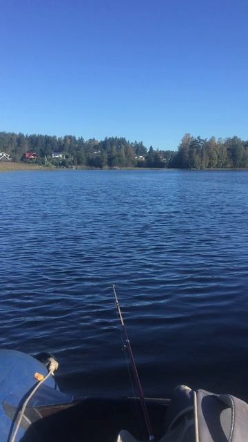 Рыбалка
