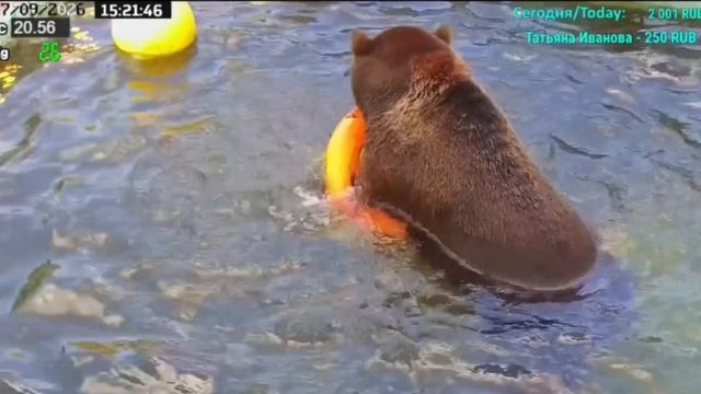 Мансур и водные процедуры.