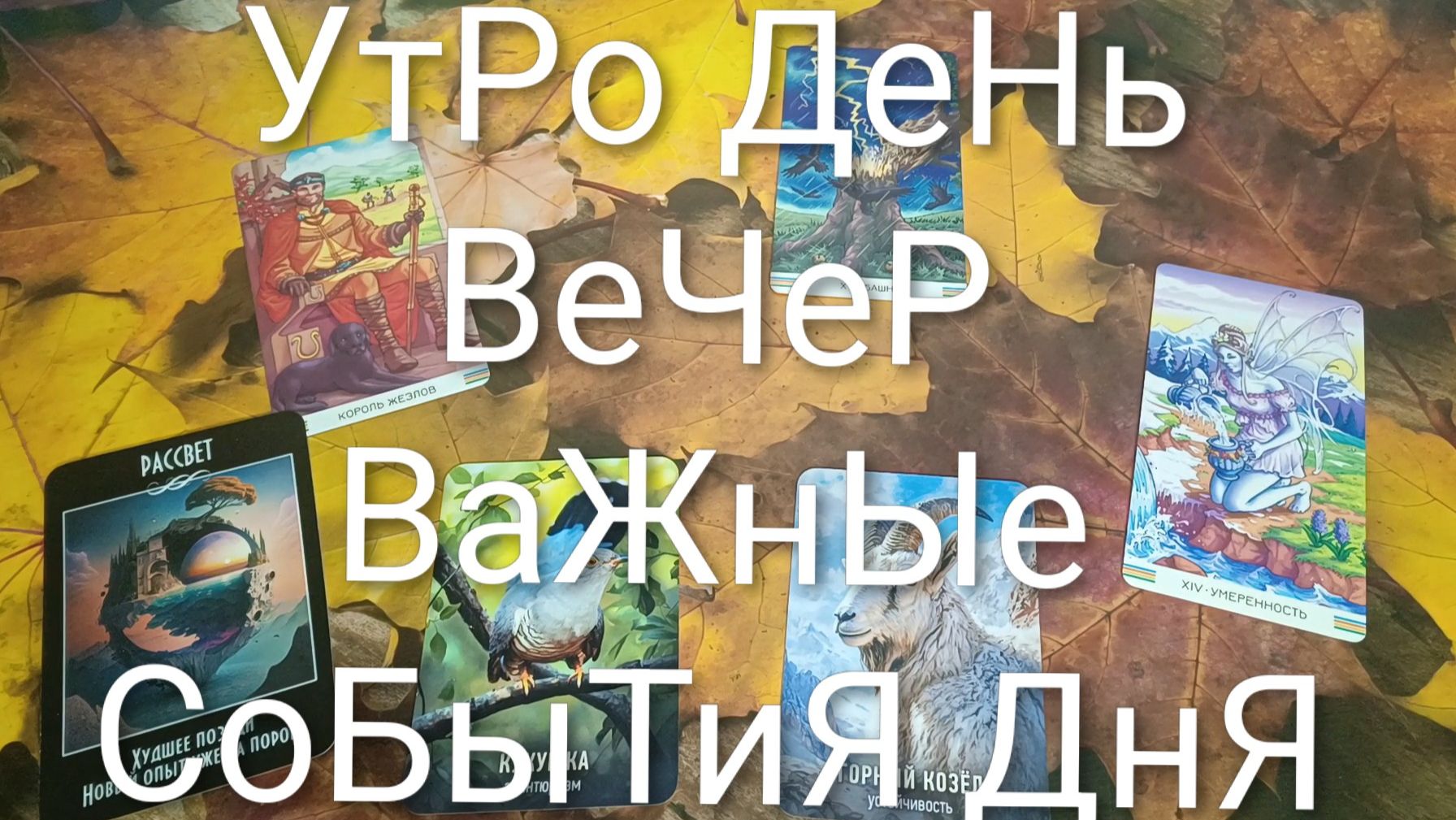 КАРТА ДНЯ 23 СЕНТЯБРЯ ДЛЯ ВСЕХ ЗНАКОВ ЗОДИАКА 💖💖💖 #ГАДАНИЕНАБУДУЩЕЕ #КАРТАДНЯТАРО #ТароПрогноз
