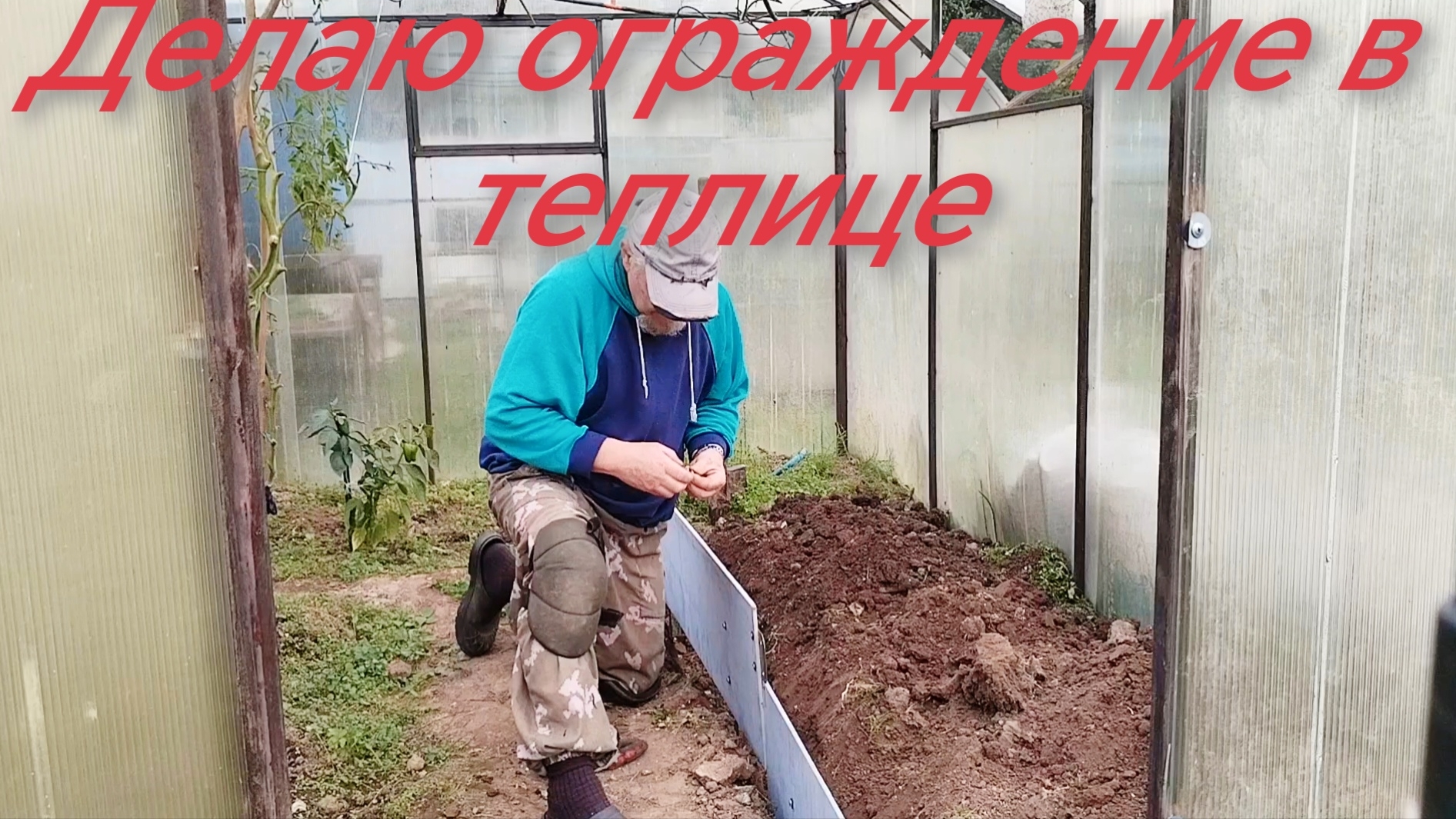 Делаю ограждение в теплице. 19-09-2026